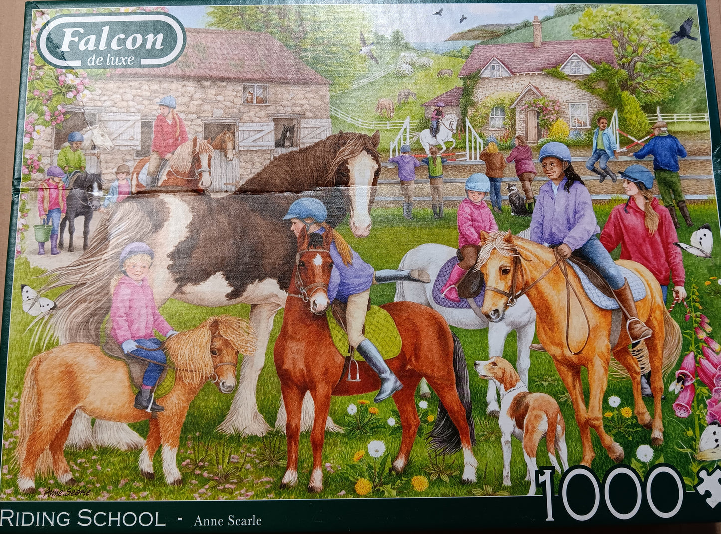 (pakkausviallinen) Falcon, Riding school 1000 palaa