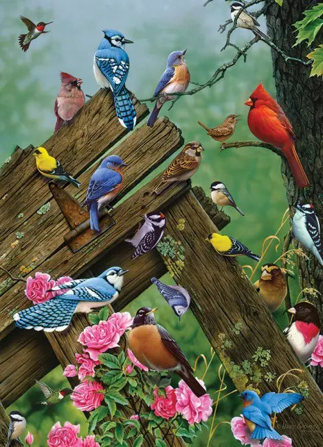 Cobble Hill, Birds of the forest 1000 palaa