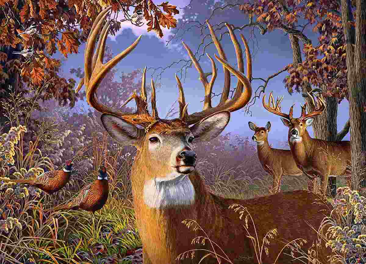 Cobble Hill, Deer and pheasant 500 palaa