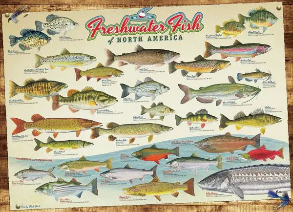 Cobble Hill, Freshwater fish of North America 1000 palaa