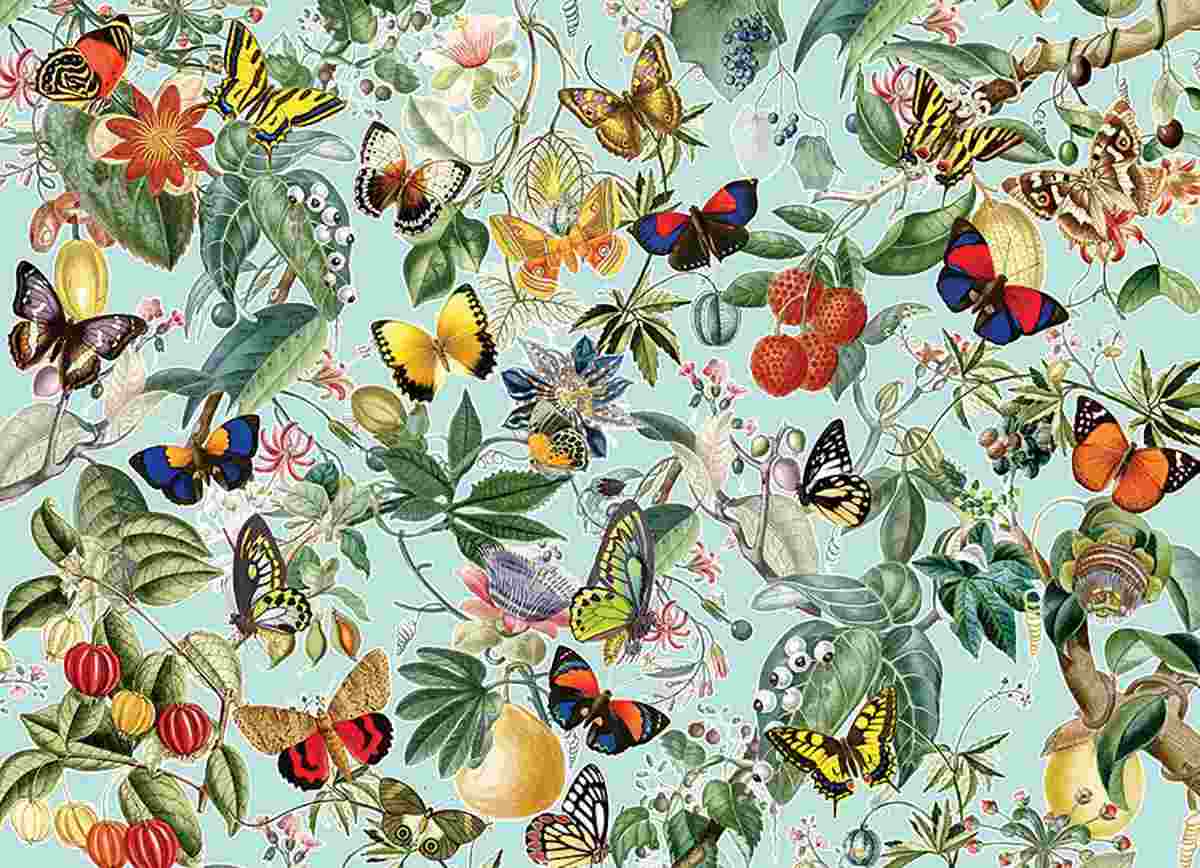 Cobble Hill, Fruit and flutterbies 1000 palaa