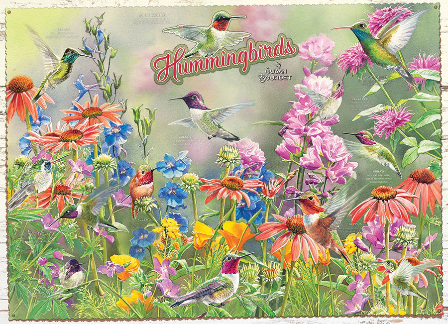 Cobble Hill, Hummingbirds 1000 palaa