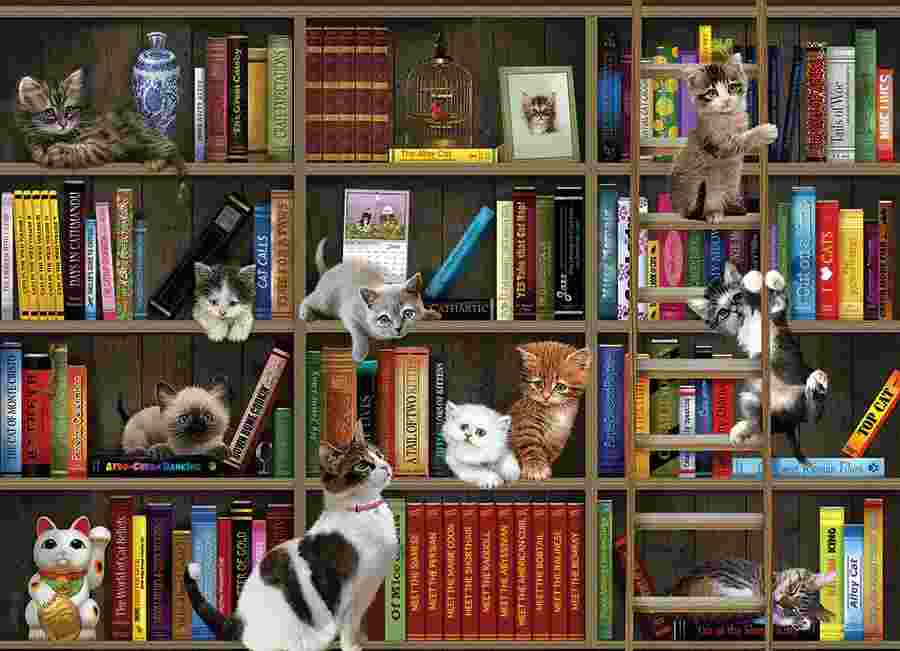Cobble Hill, Kitty librarians 1000 palaa