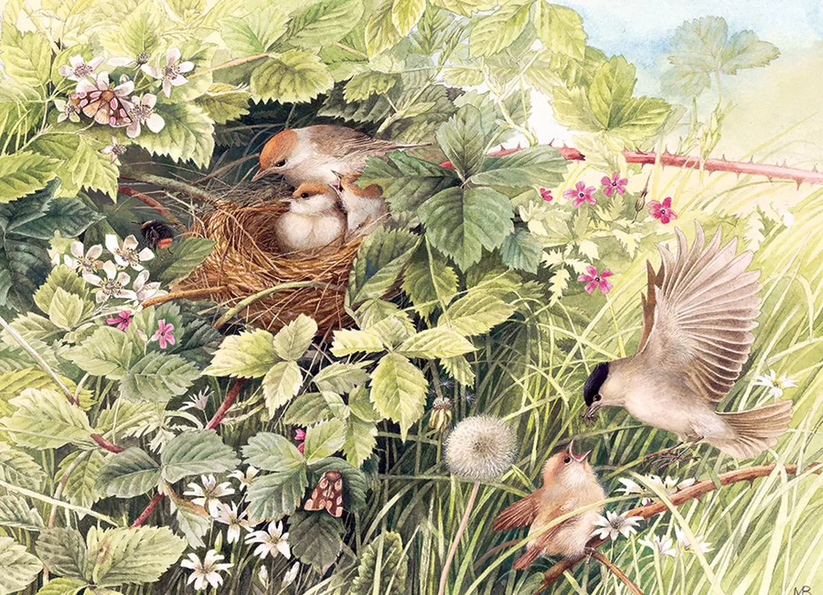 Cobble Hill, Marjolein Bastin: Hidden nest 1000 palaa