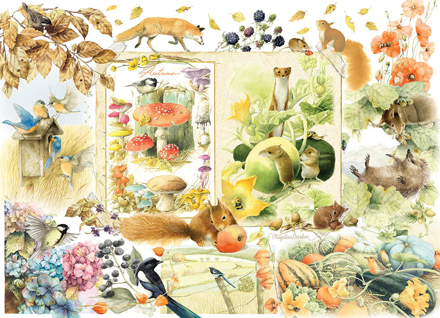 Cobble Hill, Nature journal: Autumn 1000 palaa