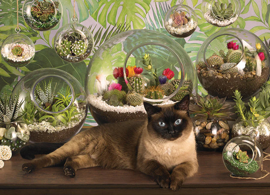 Cobble Hill, Terrarium cat 1000 palaa