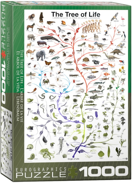 Eurographics, Evolution- the tree of life 1000 palaa