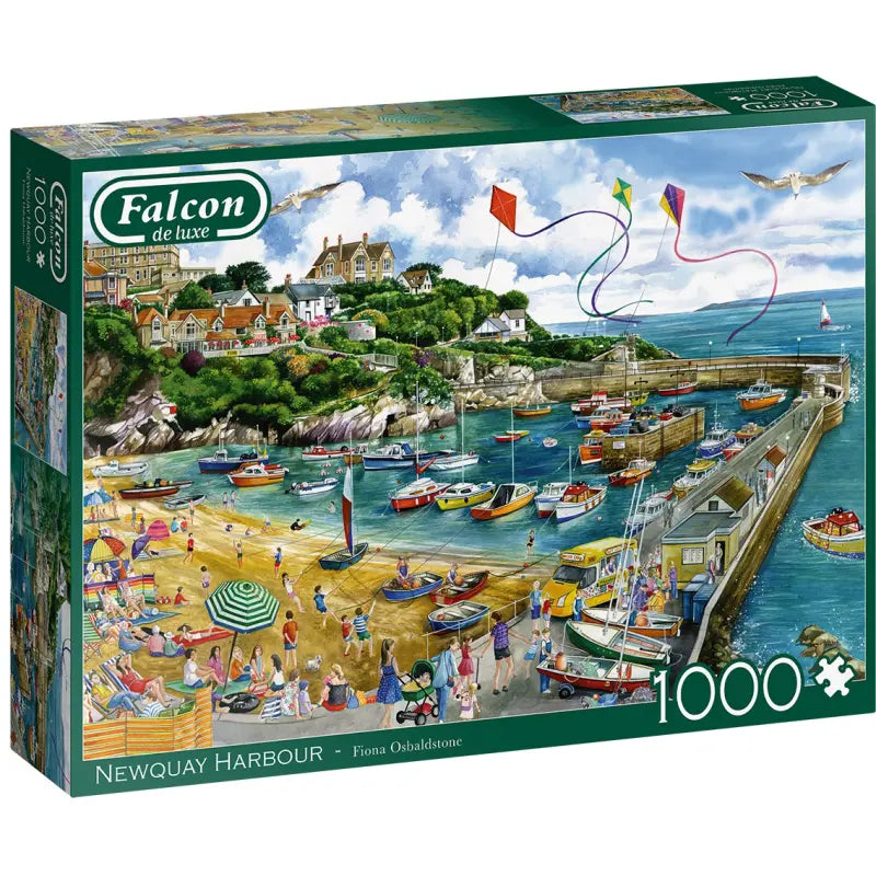 Falcon, Newquay harbour 1000 palaa