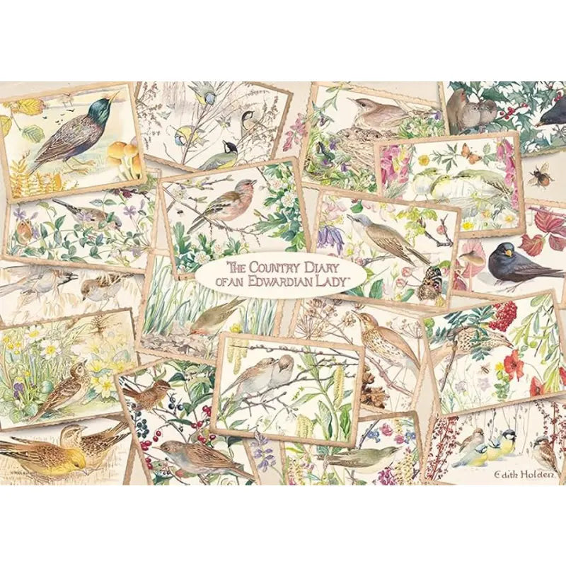 Falcon, The Country diary postcards 1000 palaa