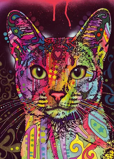 Heye, Jolly pets: Abyssinian 2000 palaa