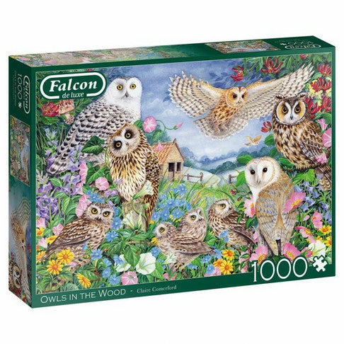 Falcon, Owls in the wood 1000 palaa