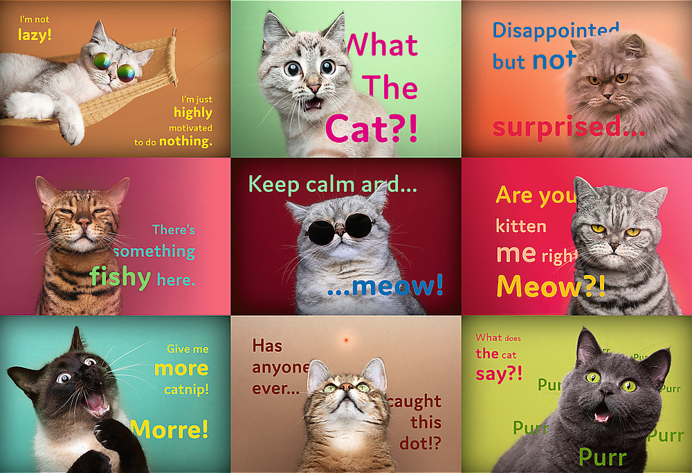 Trefl, Funny cats faces 1500 palaa