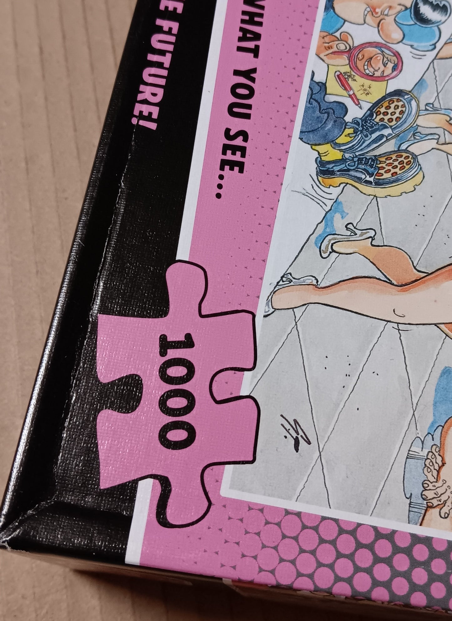 (pakkausviallinen) Wasgij? Destiny 9, 1000 palaa