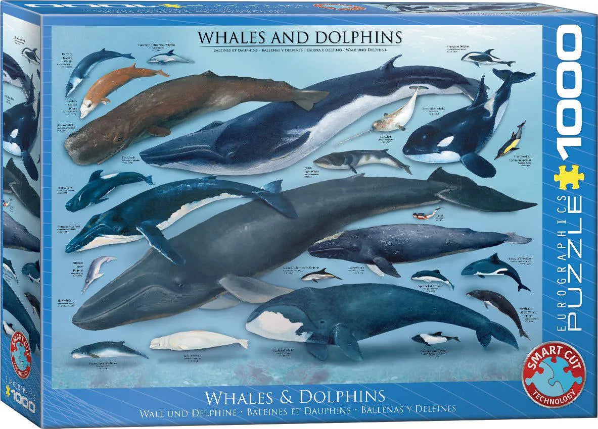 Eurographics, Dolphins and Whales 1000 palaa