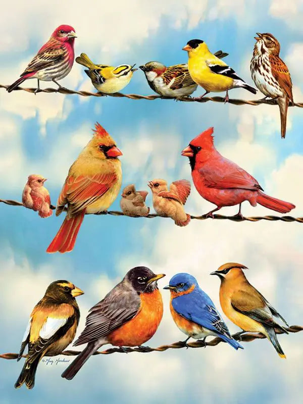 Cobble Hill, Birds on a wire 500 palaa