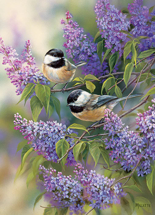 Cobble Hill, Chickadees and lilacs 1000 palaa