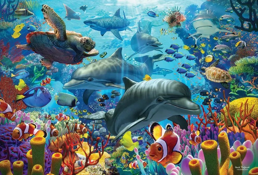 Cobble Hill, Coral sea 2000 palaa