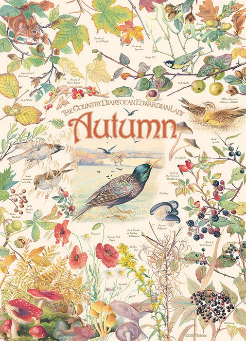 Cobble Hill, Country diary: Autumn 1000 palaa