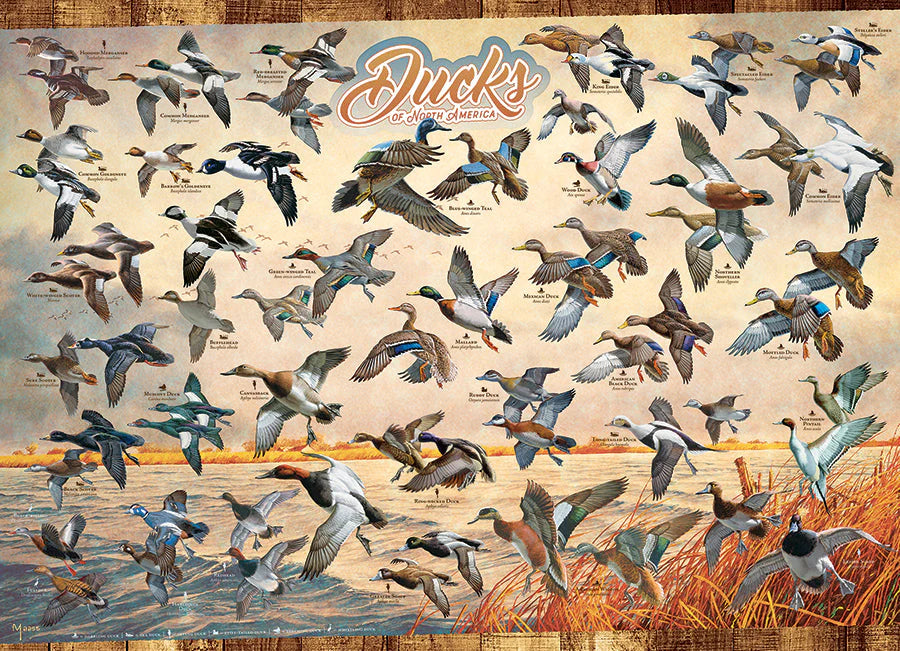 Cobble Hill, Ducks of North America 1000 palaa
