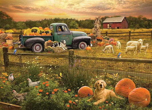 Cobble Hill, Harvest time 1000 palaa