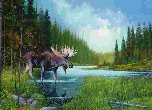 Cobble Hill, Moose lake 1000 palaa