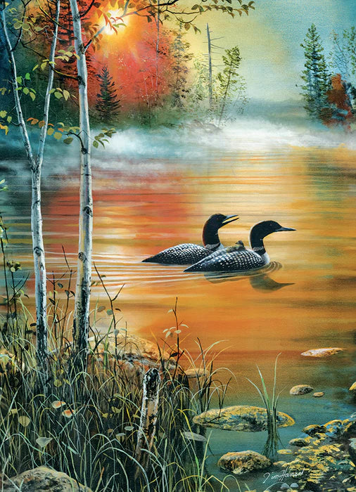 Cobble Hill, Morning mist 1000 palaa