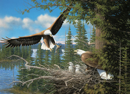 Cobble Hill, Nesting Eagles 1000 palaa