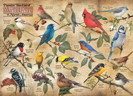 Cobble Hill, Popular backyard wild birds of North America 1000 palaa