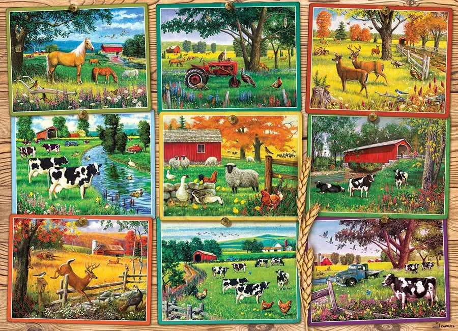 Cobble Hill, Postcards from the farm 1000 palaa