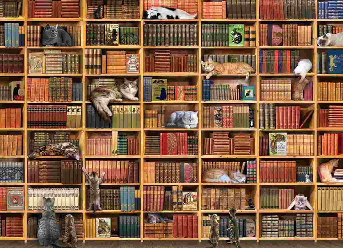 Cobble Hill, The cat library 1000 palaa