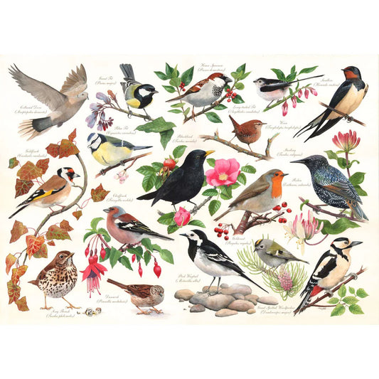 HOP, Birds in my garden 1000 palaa