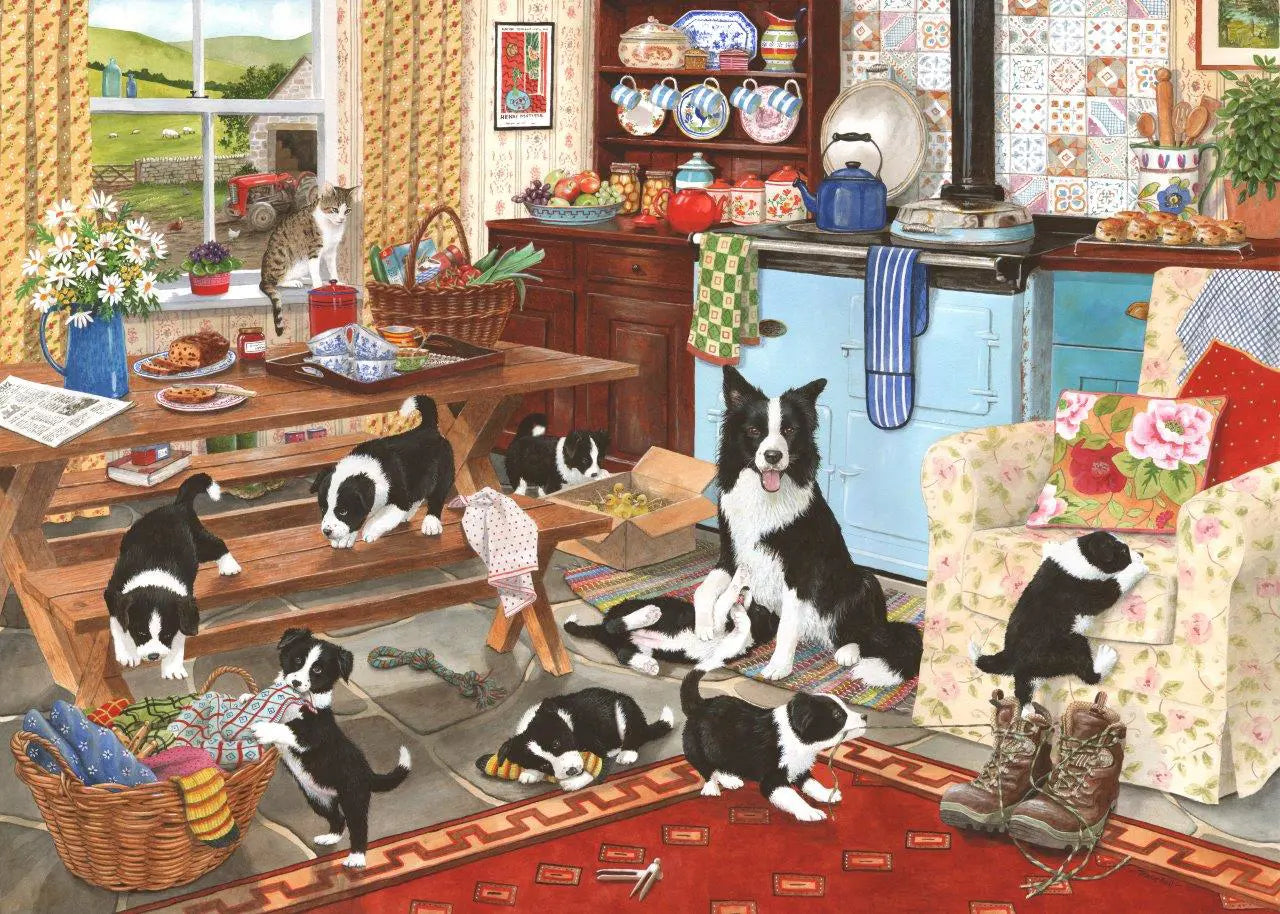 HOP, Collie wobbles 1000 palaa