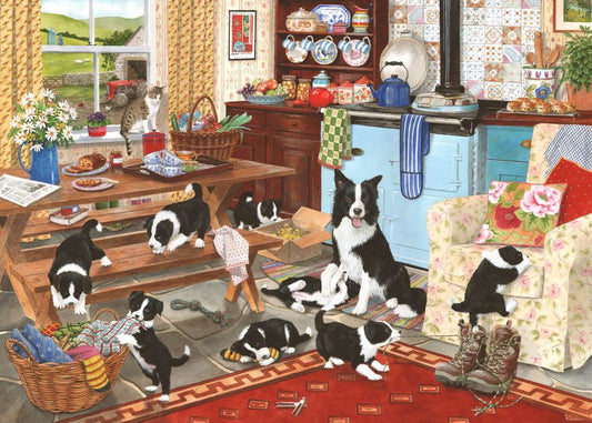 HOP, Collie wobbles 1000 palaa