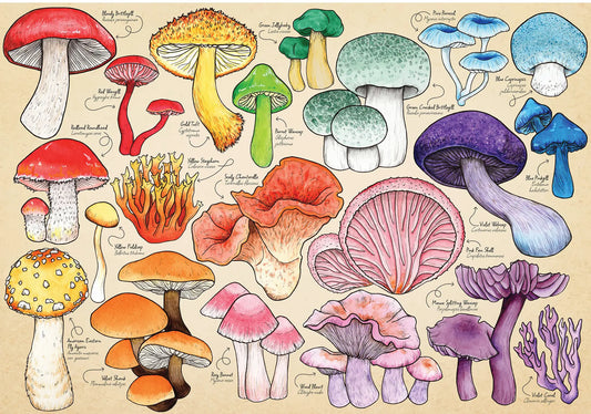 HOP, Mushroom mania 1000 palaa