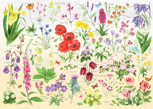 HOP, Wildflowers 1000 palaa