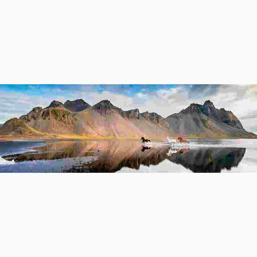 Heye, Iceland horses 1000 palaa