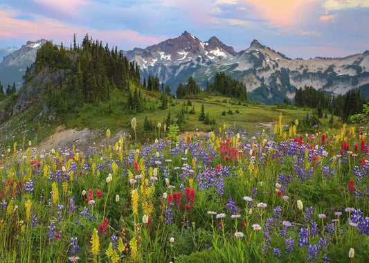 Heye, Tatoosh mountains 2000 palaa
