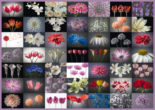 Schmidt, Floral greeting 2000 palaa
