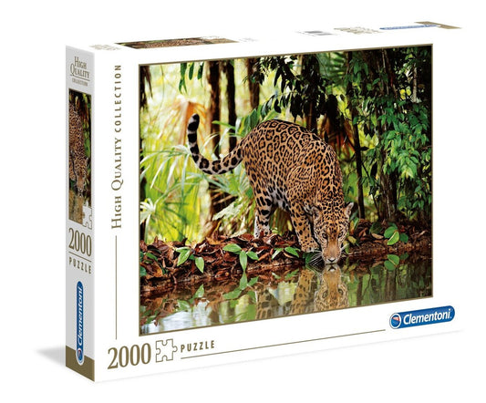 Clementoni, Leopard 2000 palaa