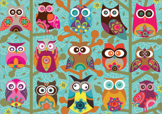 Educa, Owls 500 palaa